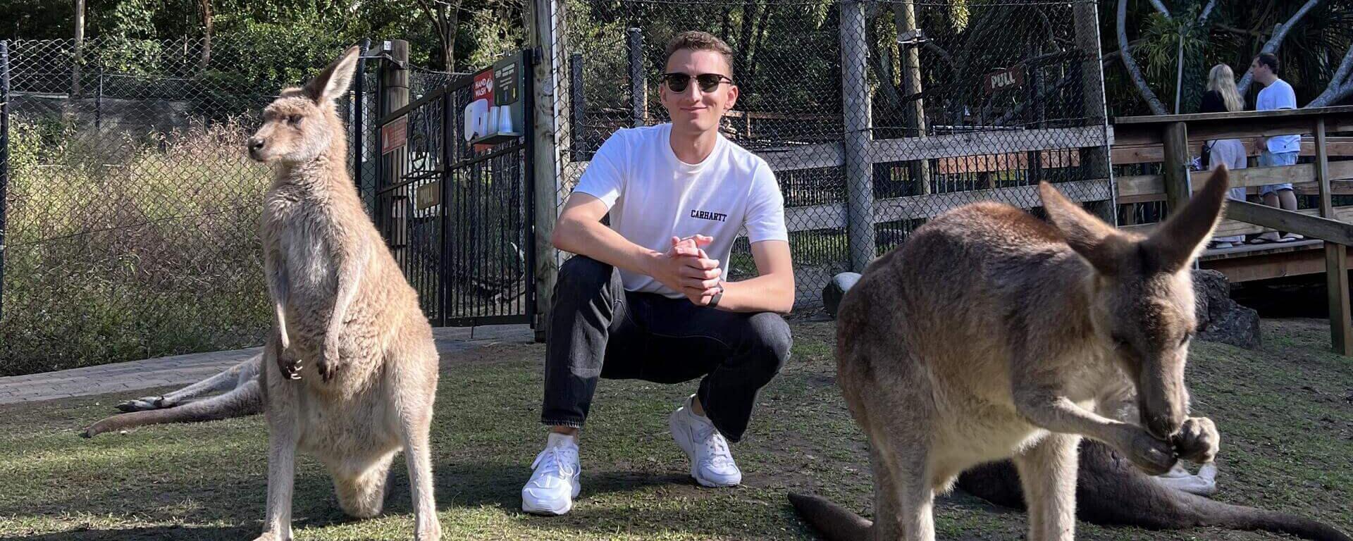 Tom mit Kängurus 