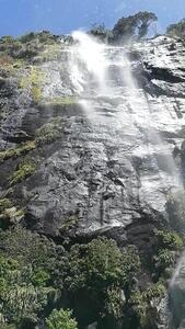Wasserfall am Milford Sound