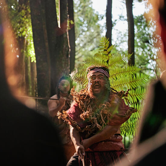 Waitangi Day: Neuseelands Nationalfeiertag und die besondere Bedeutung des Mount Taranaki