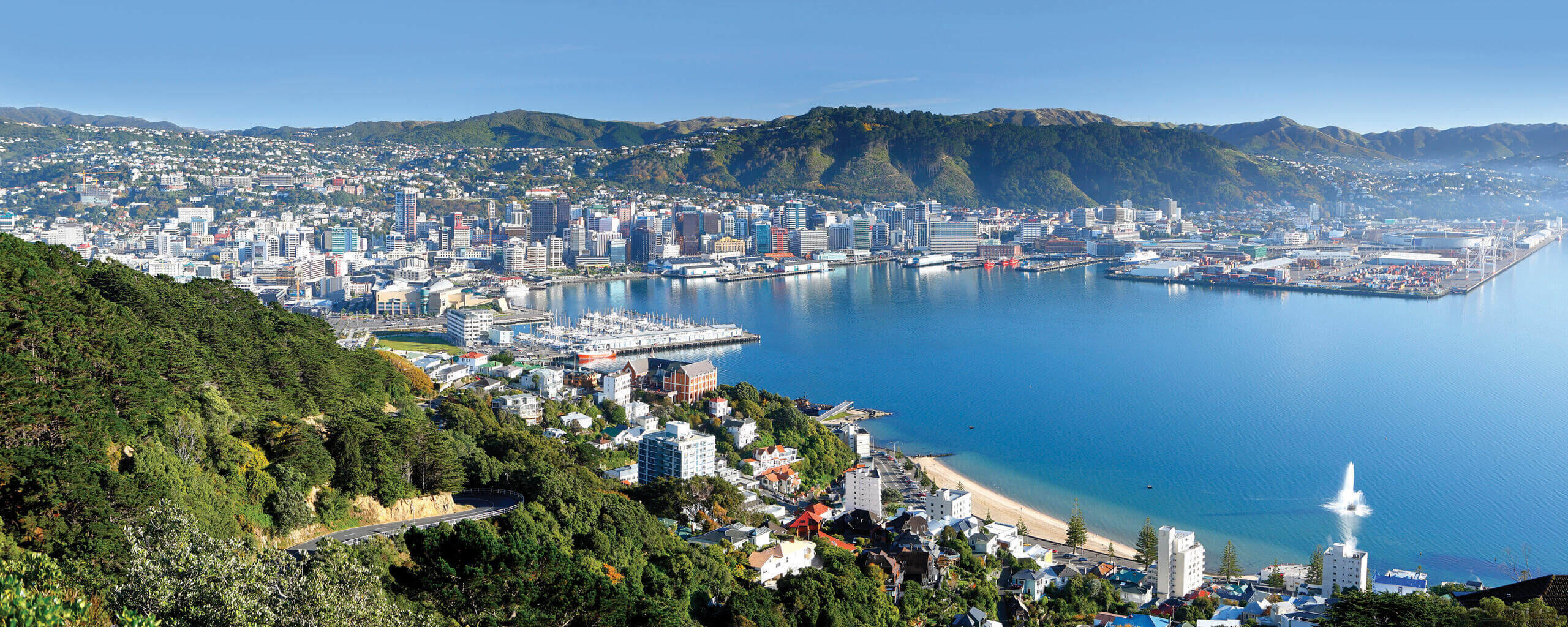 Blick auf Wellington Neuseeland