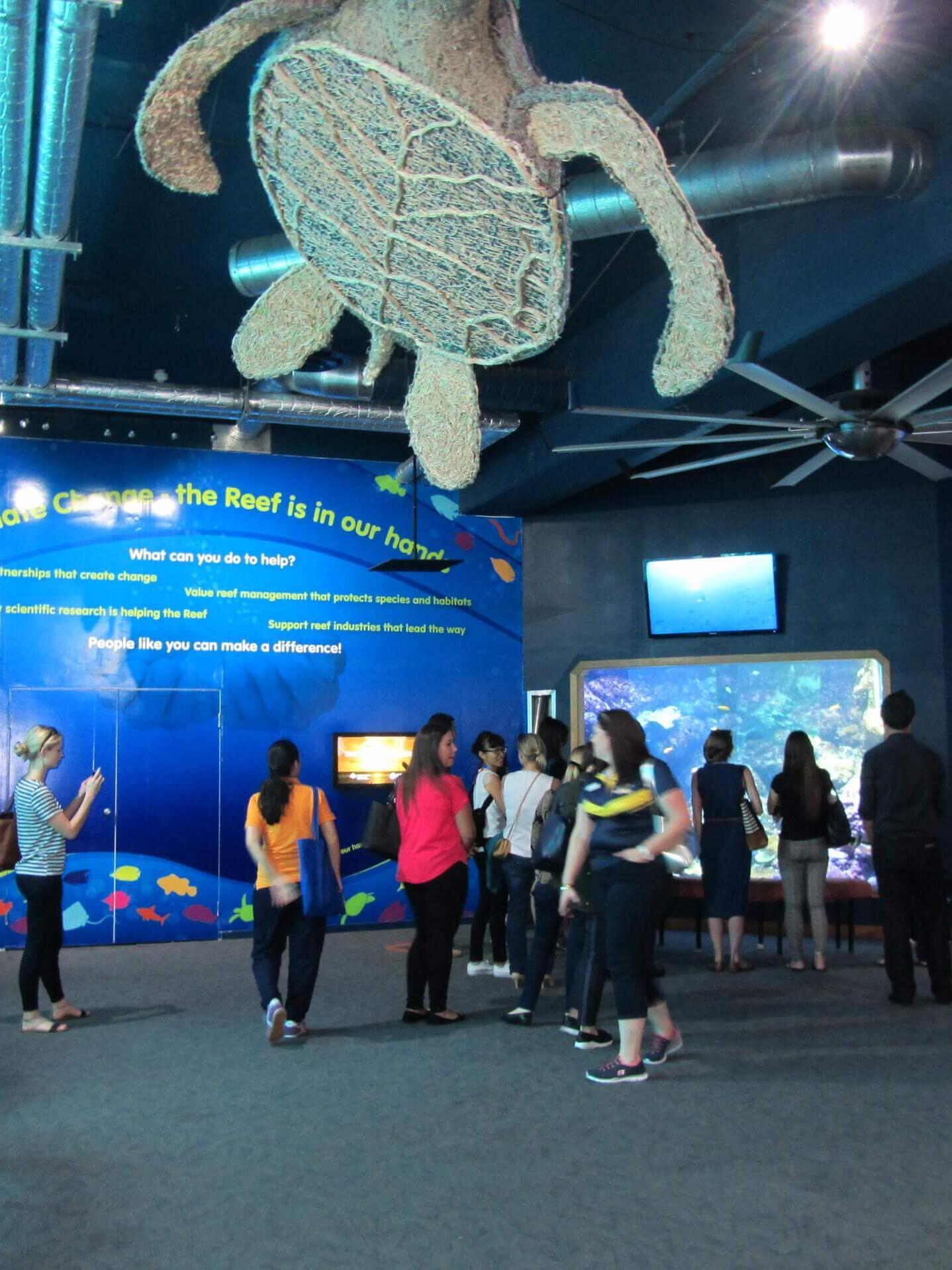 Aquarium in Townsville