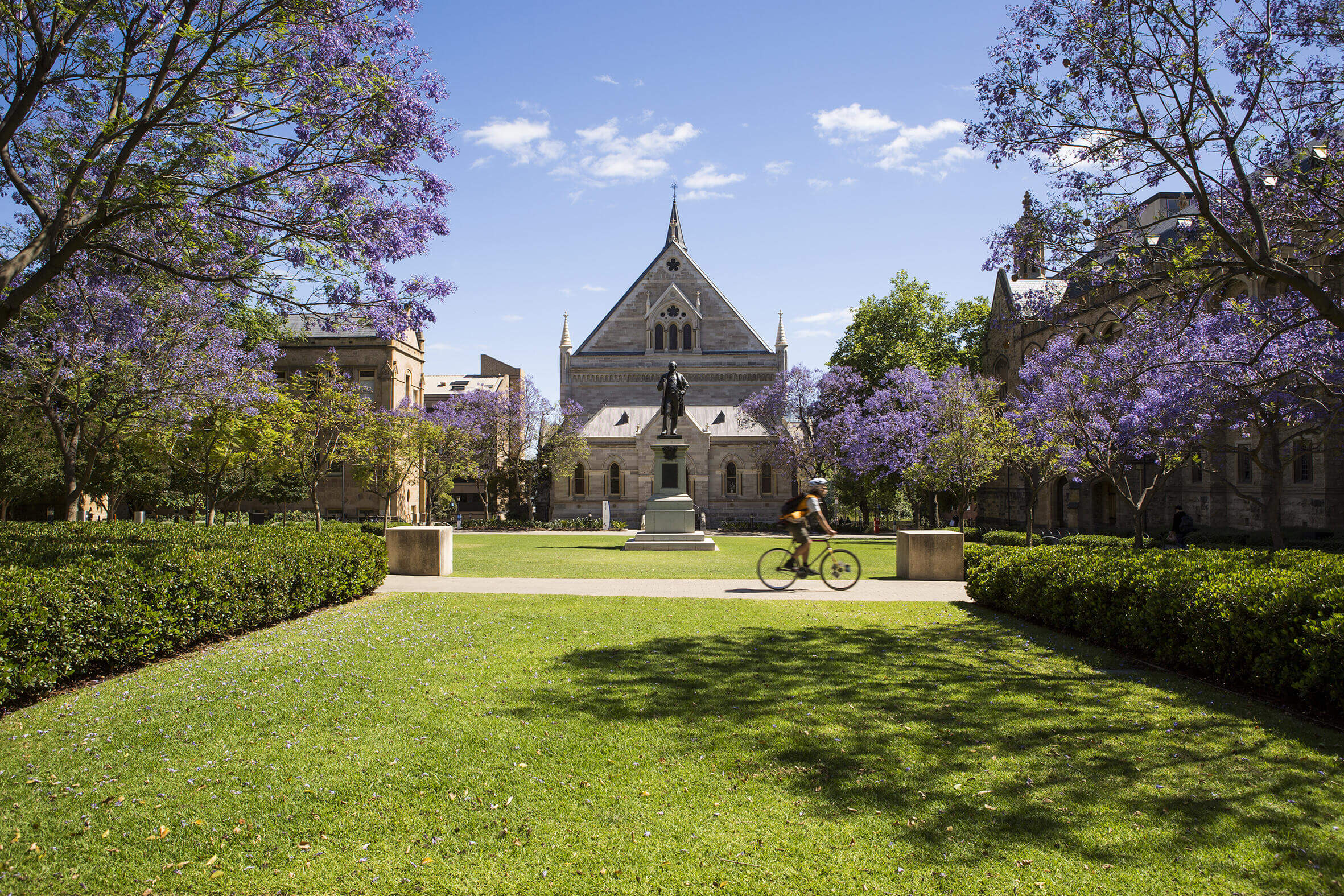 Campus North Terrace der University of Adelaide im Frühling